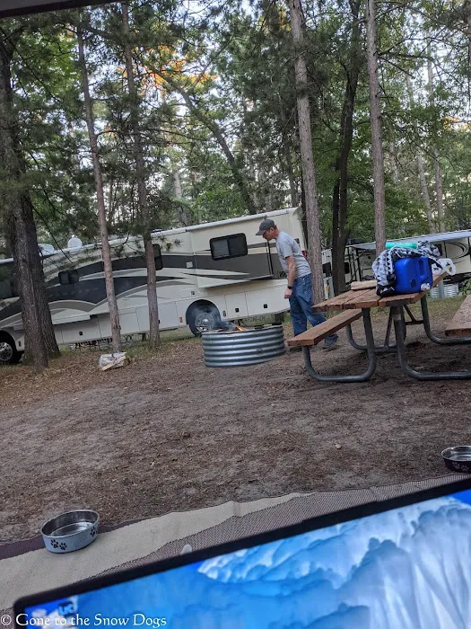 Traverse City State Park Campground Picture 2