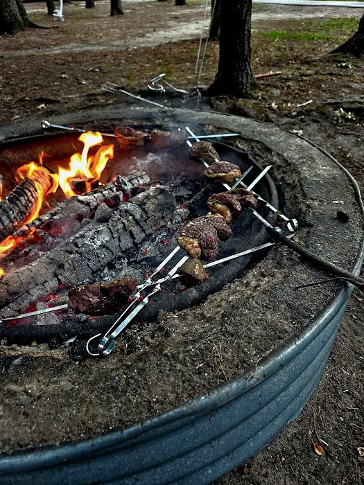 Traverse City State Park Campground Picture 6