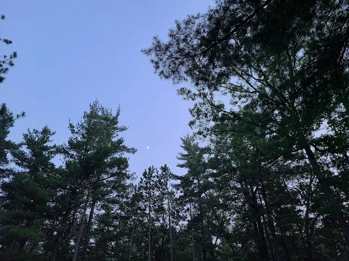 Traverse City State Park Campground Picture 8