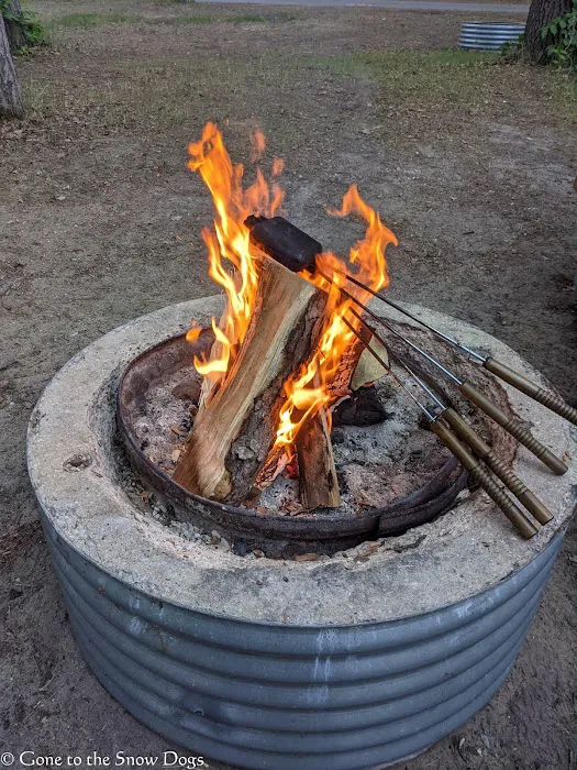 Traverse City State Park Campground Picture 5