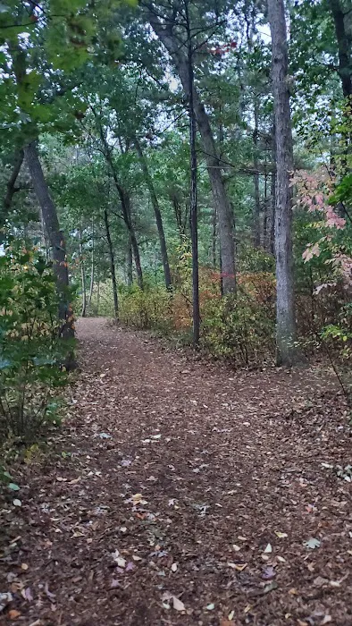 Traverse City State Park Campground Picture 4