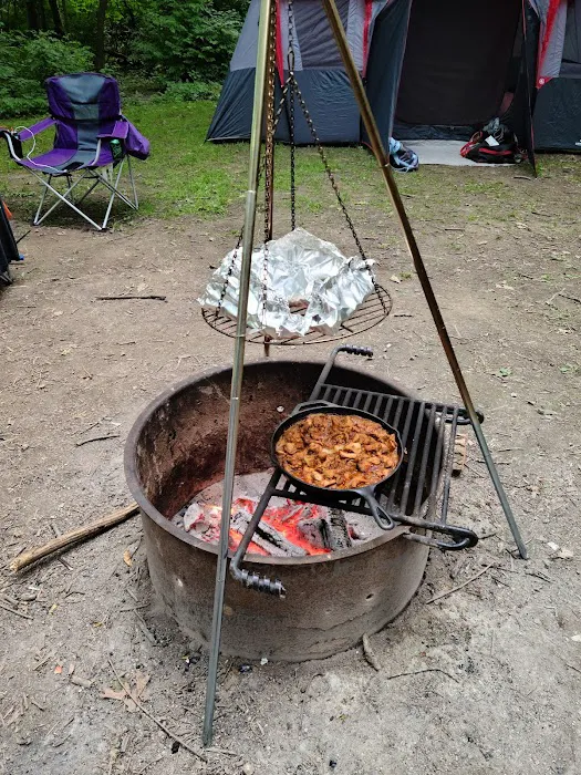 Hammel Woods Campground Picture 2