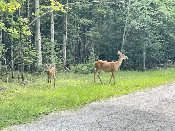 Potawatomi Campground Picture 8