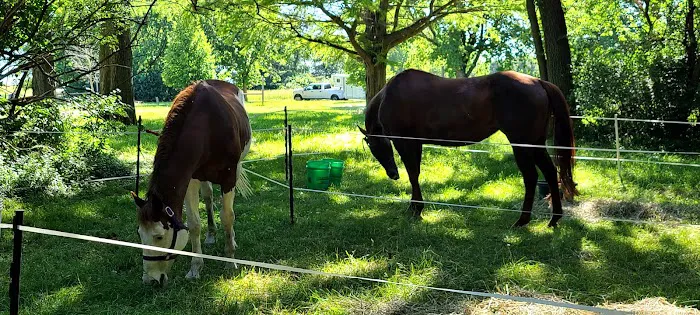 Equestrian Campground Picture 1