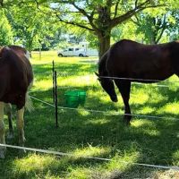 Equestrian Campground ico