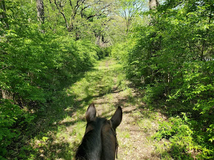 Equestrian Campground Picture 8