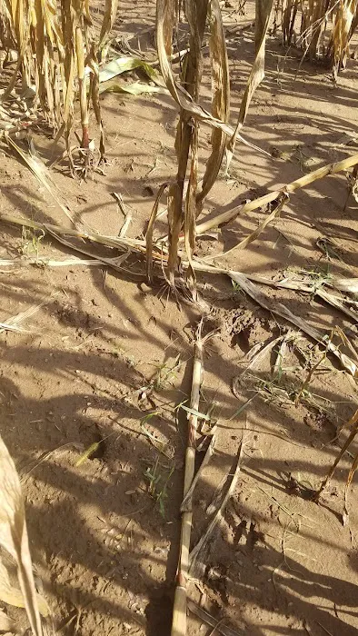 Equestrian Campground Picture 5