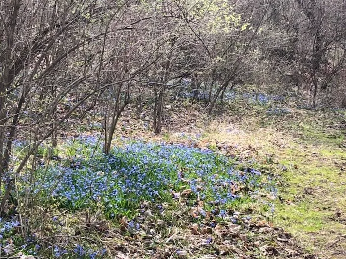 Equestrian Campground Picture 7