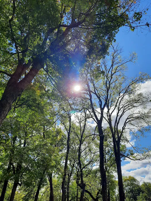 Chippewa Campground Picture 3