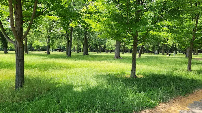 Chippewa Campground Picture 6