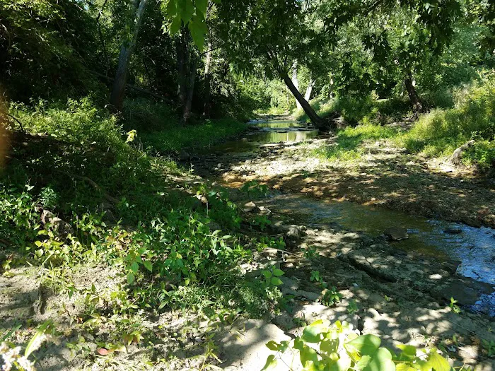 Davis Creek Campground Picture 8