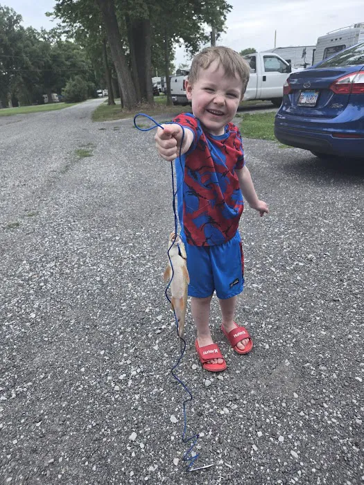 Pine grove campground Picture 3