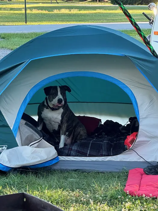 Pine grove campground Picture 1