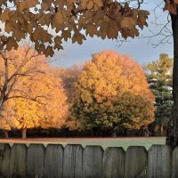 Grundy County Rod & Gun Club ico