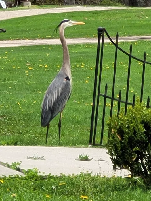 Grundy County Rod & Gun Club Picture 3