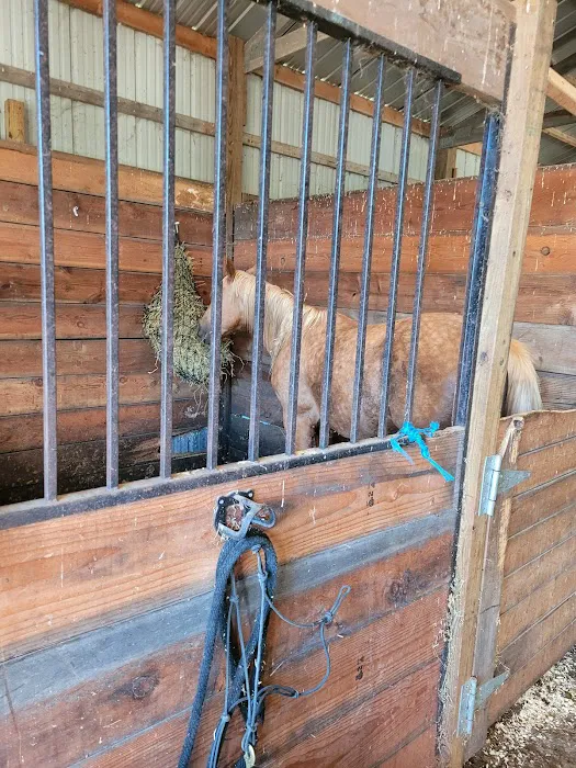 KLos Ranch Picture 2