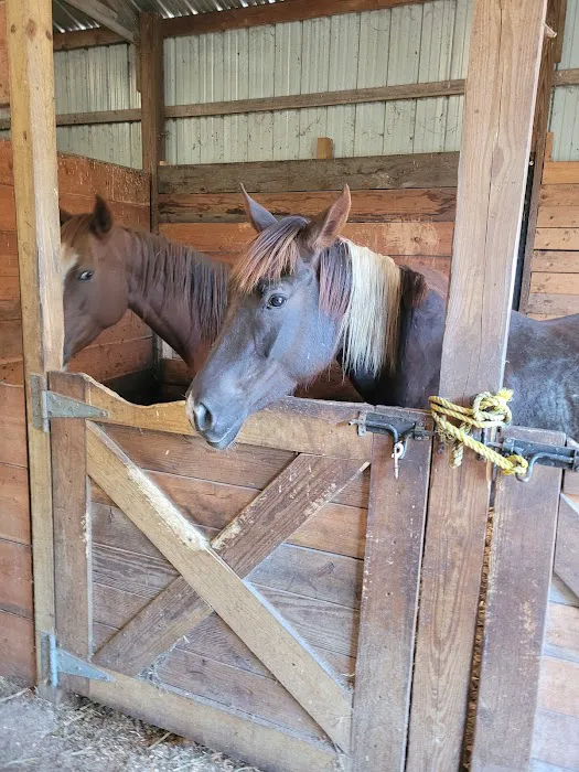 KLos Ranch Picture 7