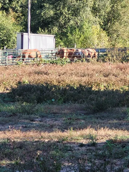 KLos Ranch Picture 1