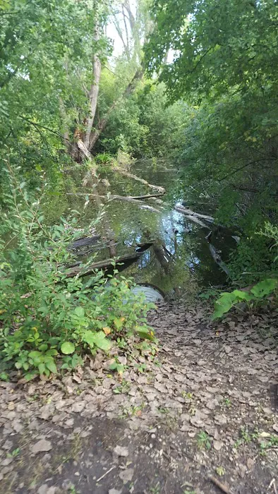 Pratts Wayne Woods Youth Group Campsite Picture 2