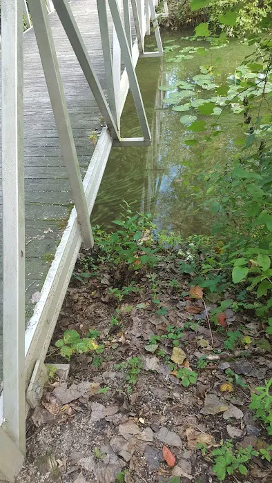 Pratts Wayne Woods Youth Group Campsite Picture 8