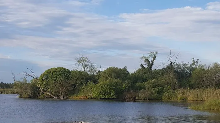 Pratts Wayne Woods Youth Group Campsite Picture 3