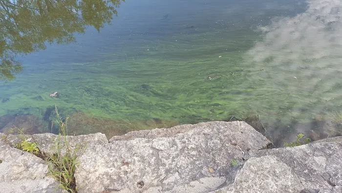 Pratts Wayne Woods Youth Group Campsite Picture 4