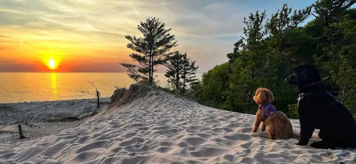 Lake Michigan Family Campground | Fairway to Heaven Disc Golf Course Picture 2