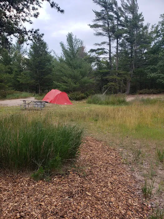 Jack Pine Campground Picture 1