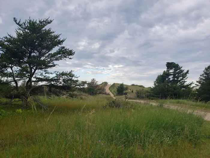 Jack Pine Campground Picture 2