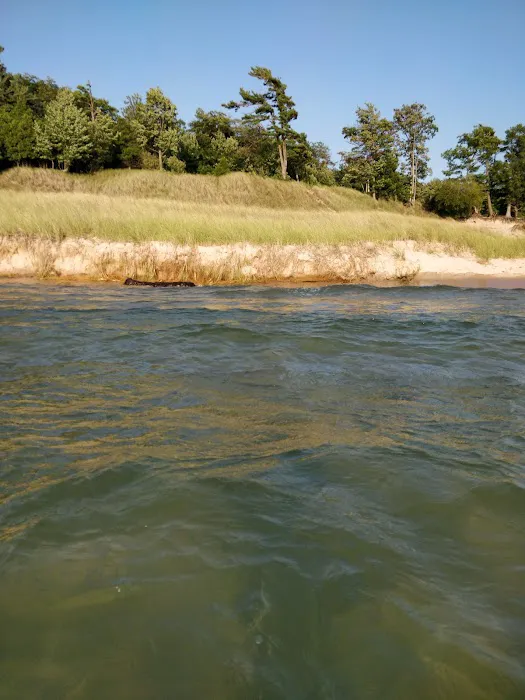 Whispering Surf Campground at Bass Lake Picture 5