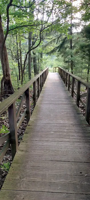 Whispering Surf Campground at Bass Lake Picture 3