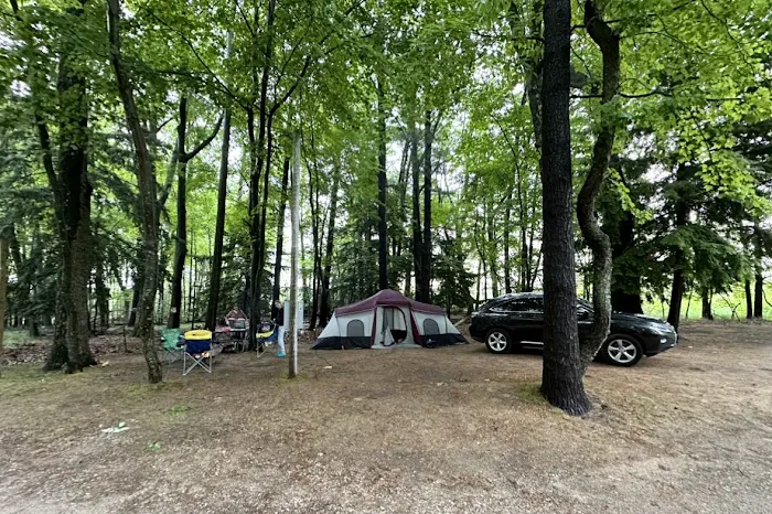 Whispering Surf Campground at Bass Lake Picture 6