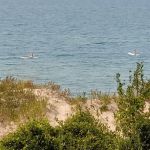 Lake Michigan Recreation Area