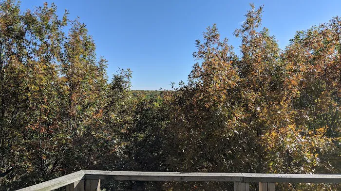 Lake Michigan Recreation Area Group Camping Picture 8