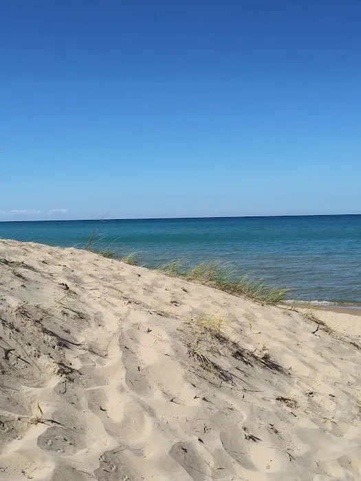 Lake Michigan Recreation Area Group Camping Picture 1