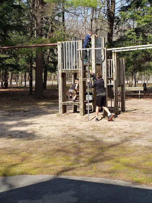 Lake Michigan Recreation Area Group Camping Picture 3