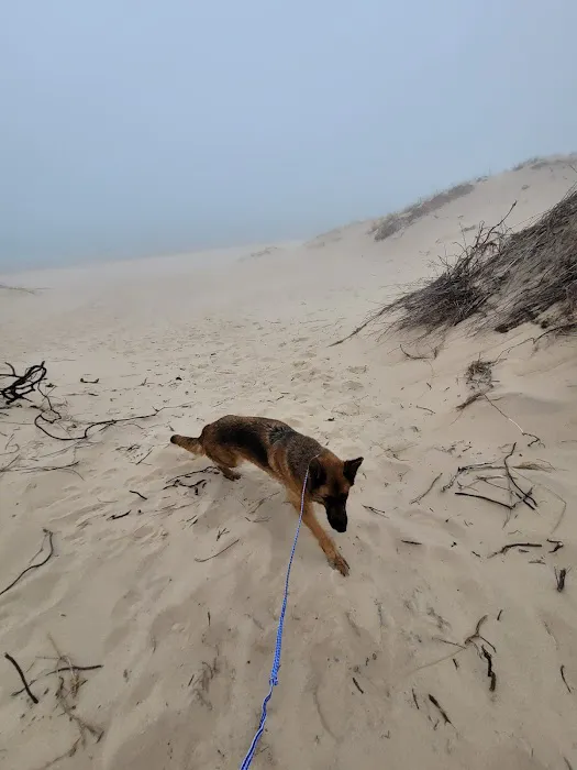Lake Michigan Recreation Area Group Camping Picture 4