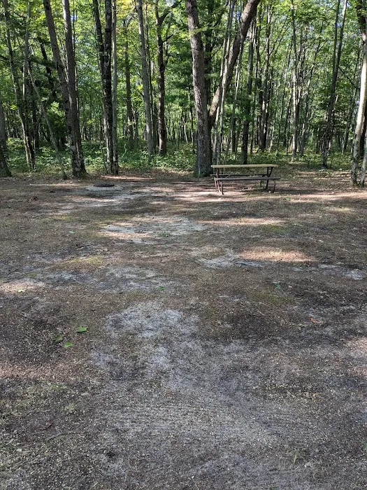 Linde's Rustic Campground Picture 7