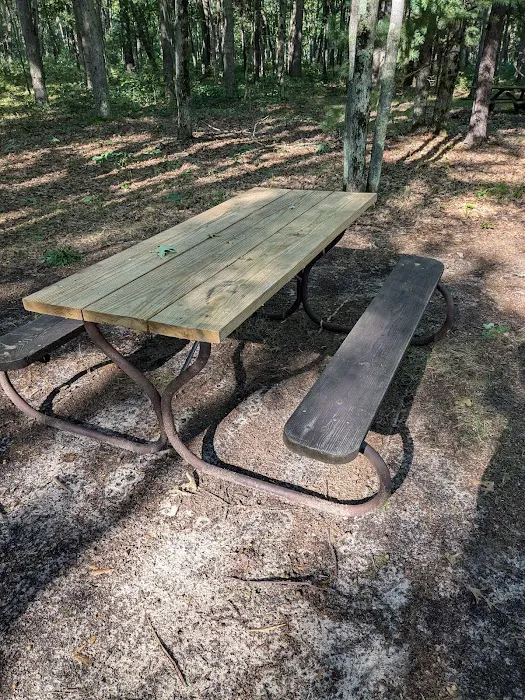 Linde's Rustic Campground Picture 4