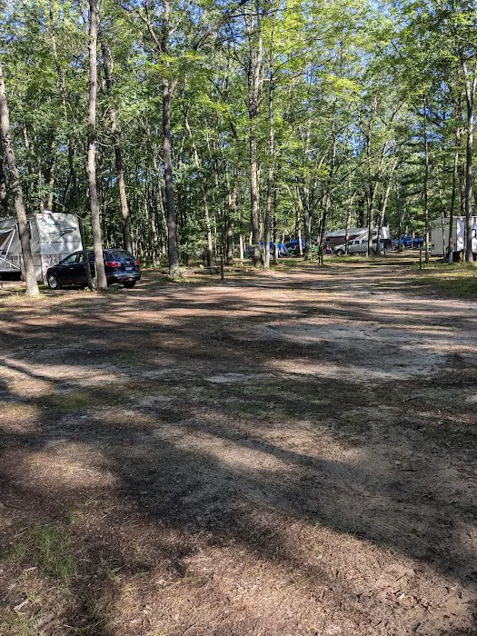 Linde's Rustic Campground Picture 5