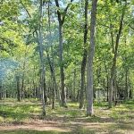 Linde's Rustic Campground