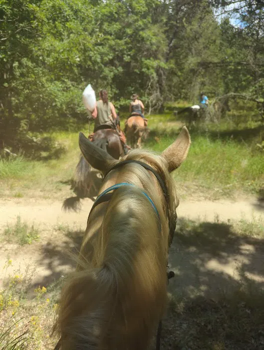 Marzinski Horse Trailhead & Campground Picture 6