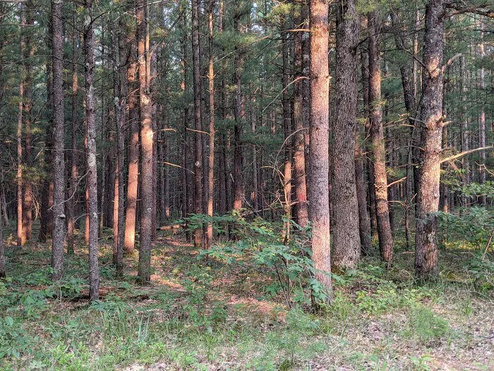 Marzinski Horse Trailhead & Campground Picture 8