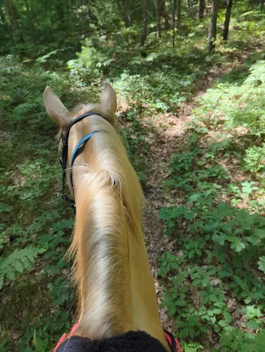 Marzinski Horse Trailhead & Campground Picture 7
