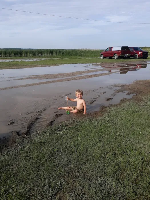 Penny Park Picture 6