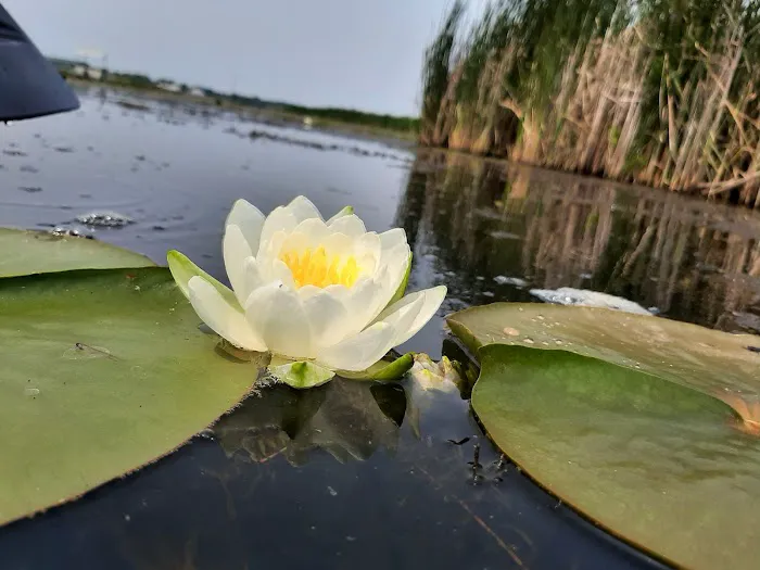 Penny Park Picture 7