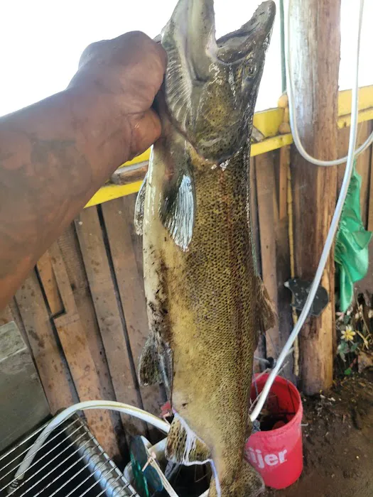 R and J Resort Campground Picture 5