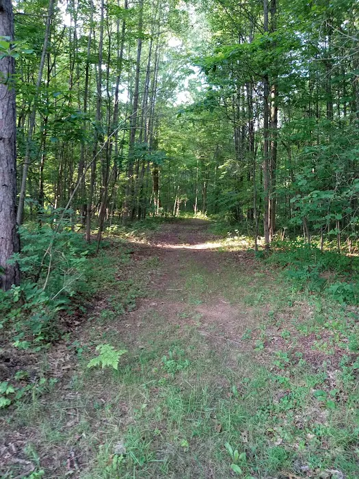 R and J Resort Campground Picture 9