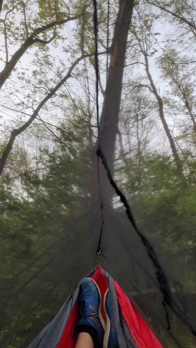 Salt Creek Area 21 Campsite Picture 5