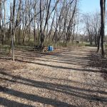 Salt Creek Area 21 Campsite